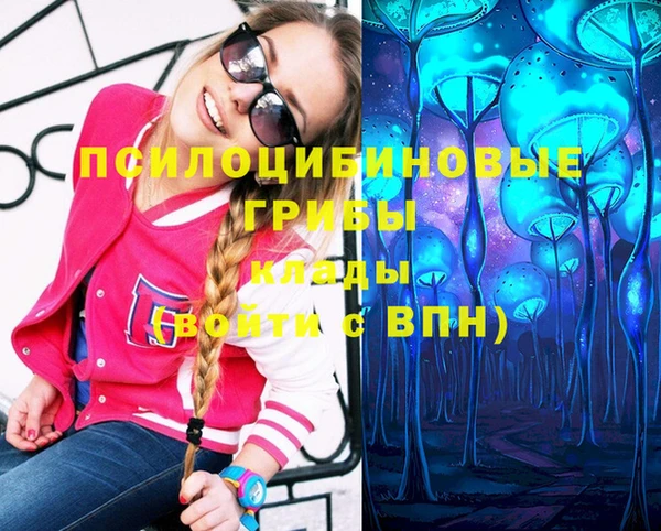 индика Абдулино