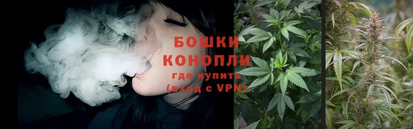 ГАЛЛЮЦИНОГЕННЫЕ ГРИБЫ Абаза