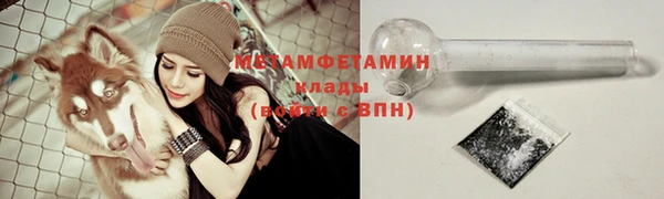 ГАЛЛЮЦИНОГЕННЫЕ ГРИБЫ Абаза