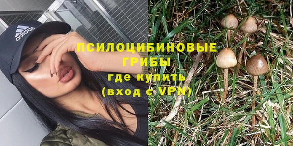 ГАЛЛЮЦИНОГЕННЫЕ ГРИБЫ Медвежьегорск