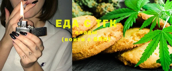 индика Абдулино