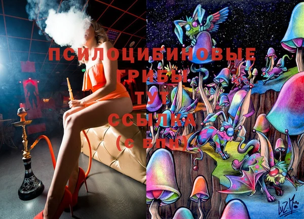 дурь Медногорск