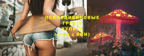 ПСИЛОЦИБИНОВЫЕ ГРИБЫ Мегион