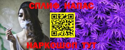 дживик Нальчик
