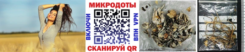 Псилоцибиновые грибы MAGIC MUSHROOMS  kraken ссылки  Сочи  где купить наркоту 