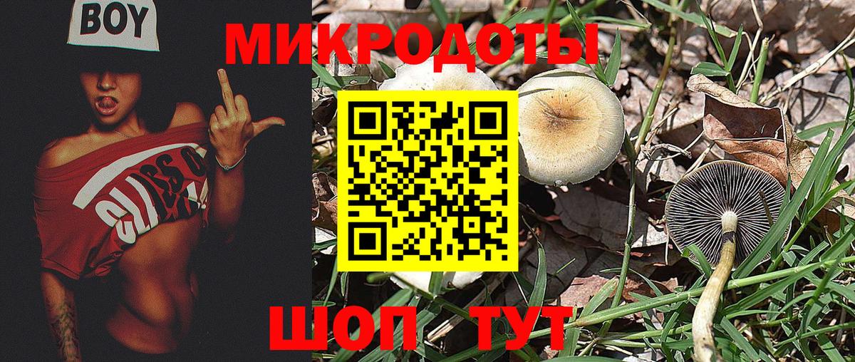 Сочи  Галлюциногенные грибы ЛСД  Вход с VPN 