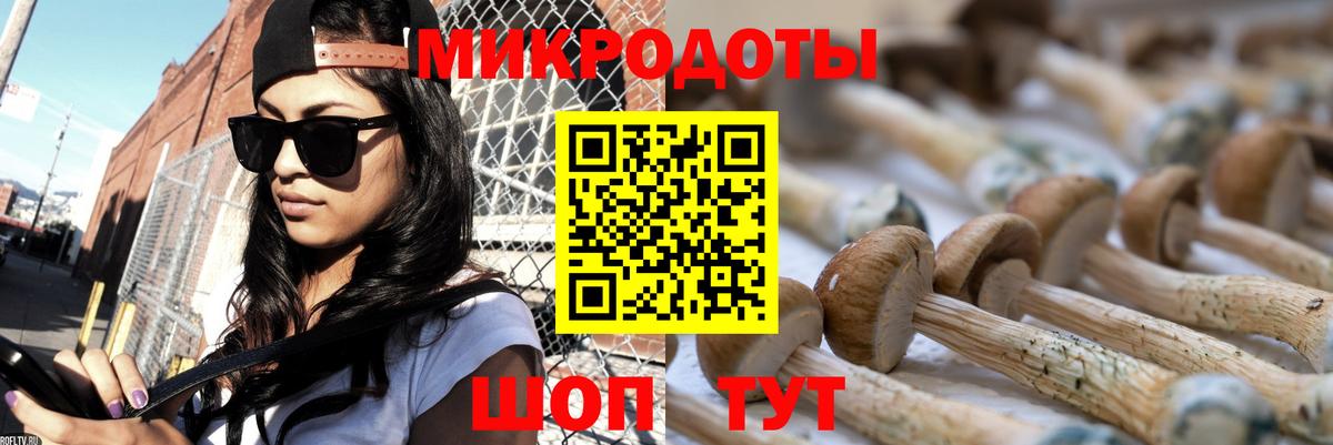 Галлюциногенные грибы Magic Shrooms Сочи